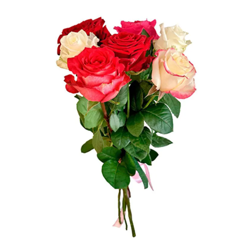 Букет из роз разного цвета под ленту, доставка Заводской